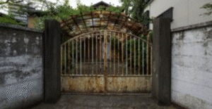 AHD survey Melbourne