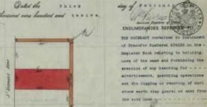 Establishment Surveys in Melbourne