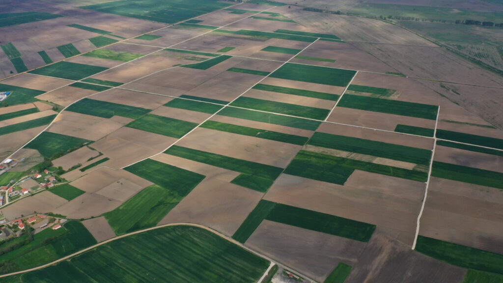 Consolidation-land-7